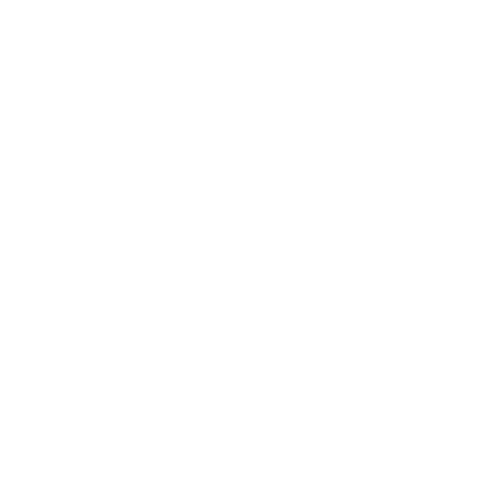 JØEDAO logo